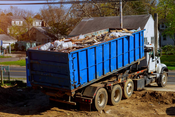 Best Office Junk Removal  in Lutz, FL