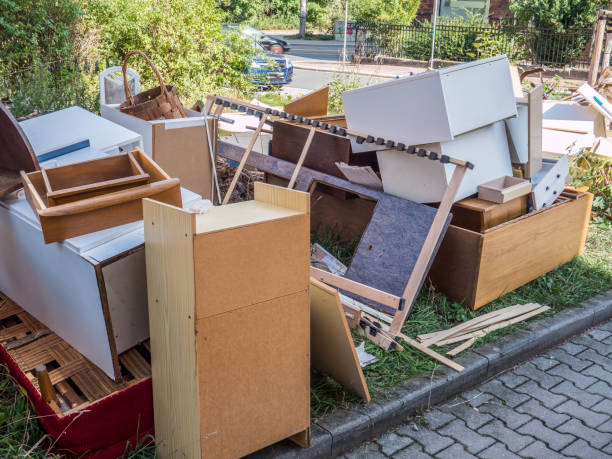 Best Furniture Removal Near Me  in Lutz, FL