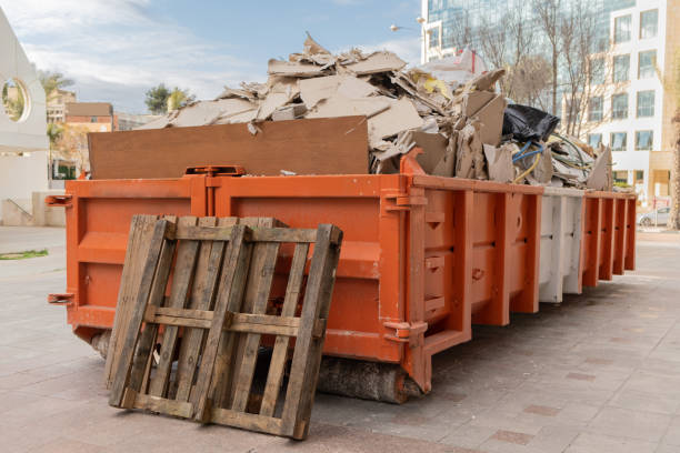 Attic Cleanout Services in Lutz, FL