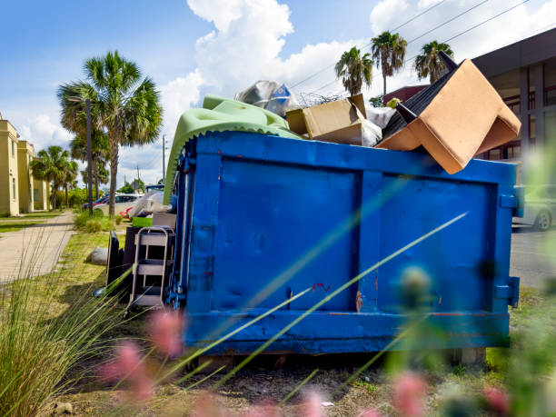 Basement Cleanout Services in Lutz, FL