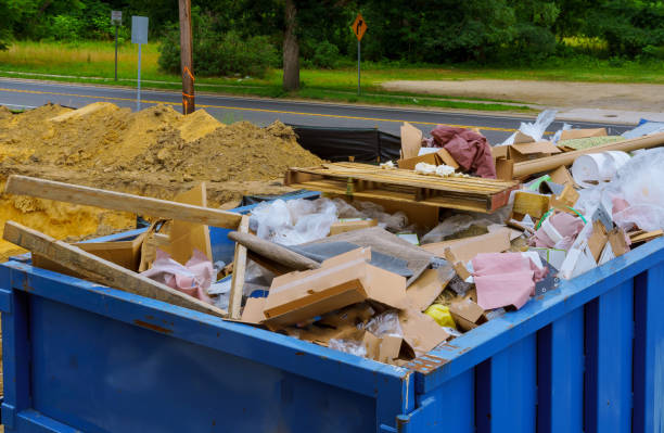 Best Trash Removal Near Me  in Lutz, FL